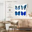 Radiographie de Brampt Miss Butterfly - bleu-109376951