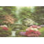 Whispering Brook-2056913022