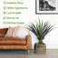Ruchel Faux Plant-1115622317