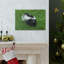Art mural majestueux Skunks-163817323