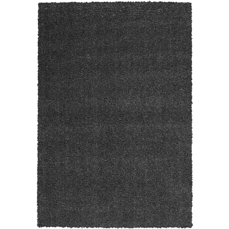 Tapis noir de couleur de couleur crème, Rectangle 5 pi x 7 pi
