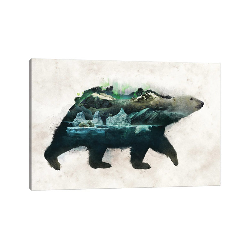 Polar Bear by Barrett Biggers - Wrapped Canvas Print, 20.32 cm H x 30.48 cm W