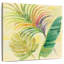Harnek Tropical Delight II
