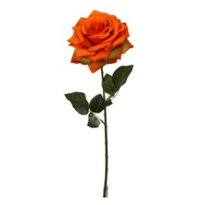 20" Open Rose Stem - 4 Pack