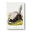 Texan Skunk by J.W. Audubon - Wrapped Canvas Print-55341397