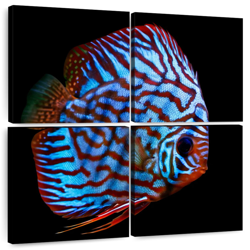 Brampt Aquatic Turquoise Discus Fish, 18" H x 18" W