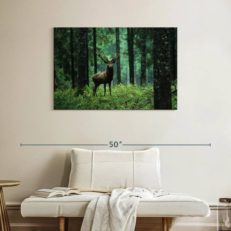 Brampt Elk In Forest