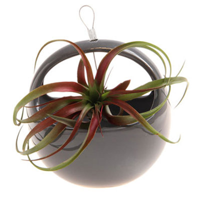 Ceramic Wall Vase