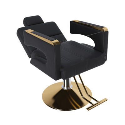 Fauteuil de coiffeur hydraulique professionnel - rotation à 360 °, hauteur réglable, accoudoirs en acier inoxydable et dossier inclinable, idéal pour les salons et les salons de coiffure, noir et or
