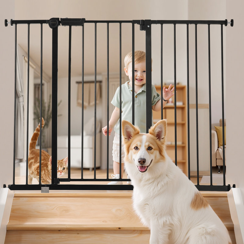 Barrière pour bébé 26-40 po, largeur réglable 36 po pour chien, L 48 po, Noir