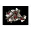 Dosta «Pale Pink and Fuchsia Orchid 2» par Reproduction d'art graphique sur toile tendue-29224824