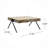 27.5'' W Solid Mango Wood and Iron Rectangular Coffee Table with V-Shaped Legs