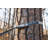Apollo Hammock Straps