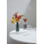 Mina Budvase 3,25 po x 5,5 po