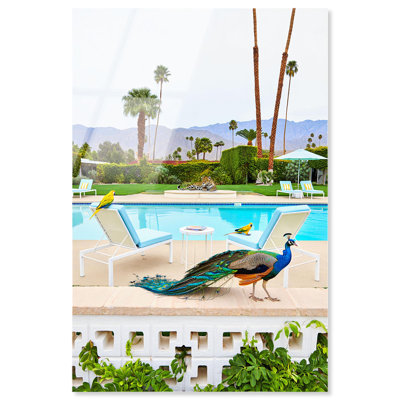 «Peacock's Poolside Acrylique Print» par Notoriart