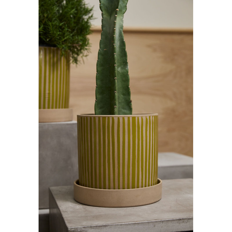 Pot avec soucoupe Sullivan 11,25 po x 10,5 po