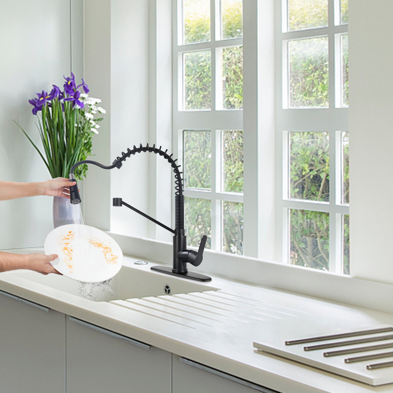 Mason&Mia Pull Down Kitchen Faucet