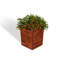 Boîte à fleurs en bois Campton-1529495987-1529495986