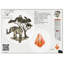 Carillon - éléphant 36 po - tube argent - bois