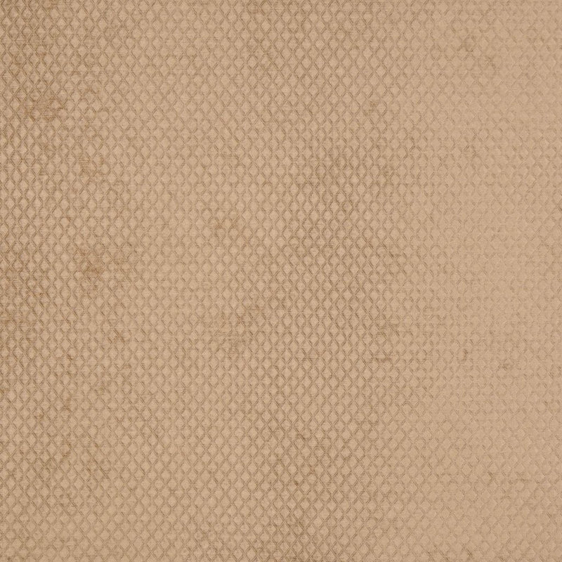 Tissu Massachusetts, Selle