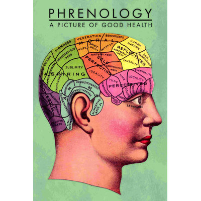 " Phrenology "