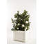 Pendle Fiberglass Window Box Planter-220654960-220654971