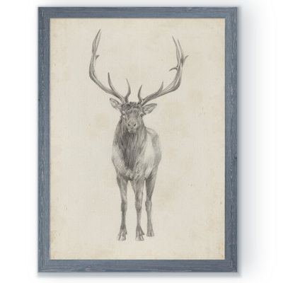 " Elk Study " by Paul Cezanne