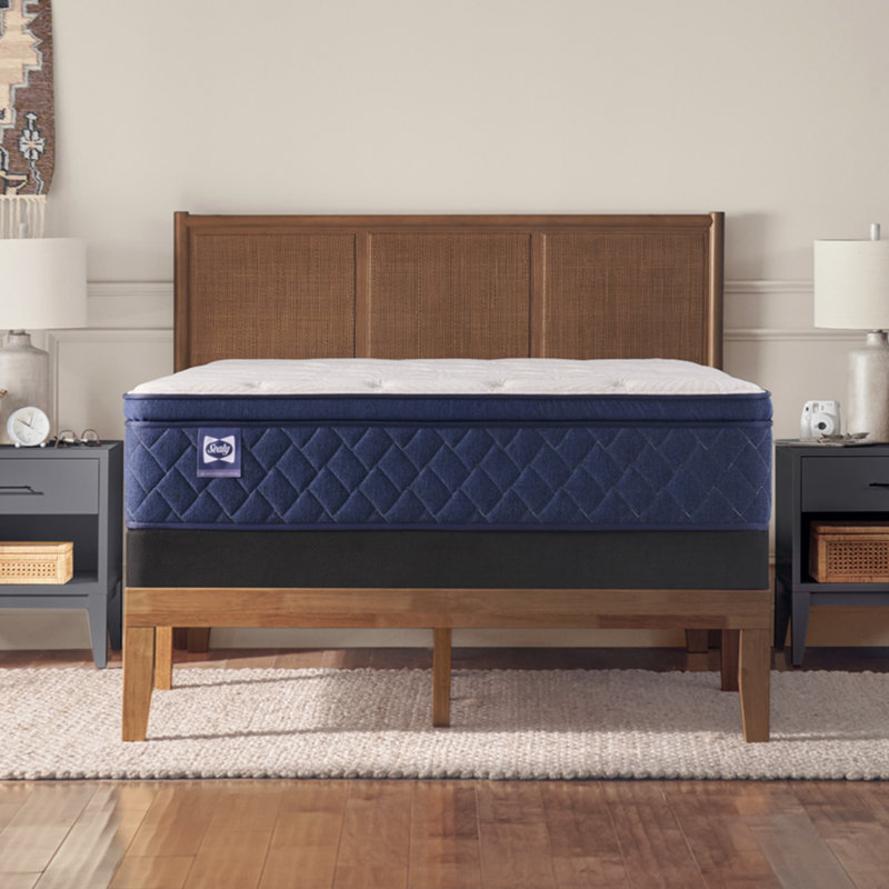 Sealy Farley Elm 14" Soft Pillow Top Innerspring Mattress, Full