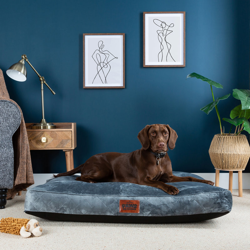 Slumberdown Paws for Slumber Raised Padded Dog Bed – Comfortable, Supportive & Durable Pet Bed for All Breeds, Grey