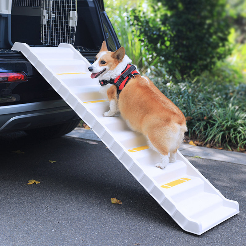Collapsible Stairs With 13 Steps