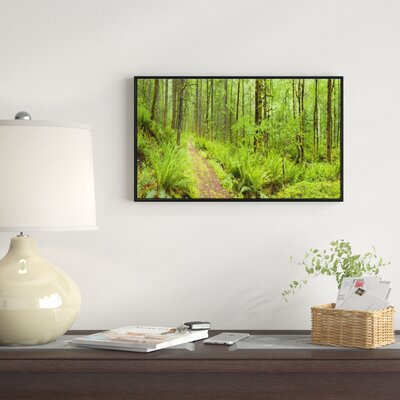 Lush Forest Path Columbia River' Framed Photographic Print on Wrapped Canvas -  East Urban Home, ERNH7655 46730320