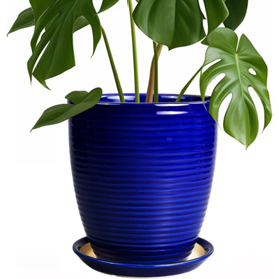 8 Inch Glossy Blue Ceramic Planter Pot