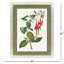 Art floral encadré vers le bas