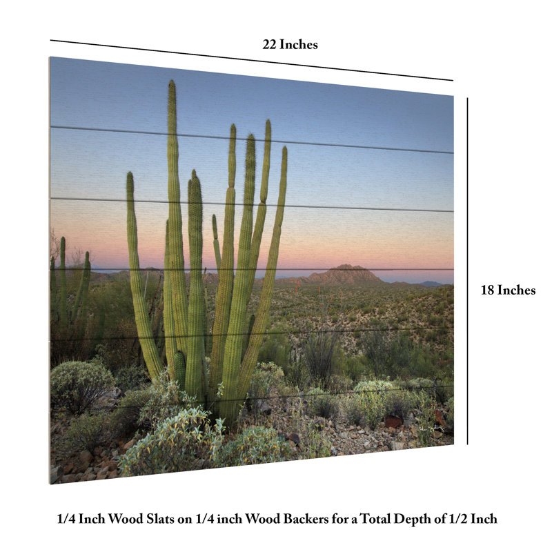 Cactus orgue au crépuscule sur bois, H 18 po x l 22 po