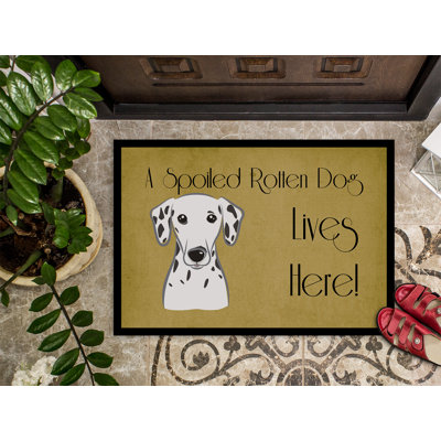 Non-Slip Outdoor Doormat