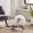 NALA 19.5" Wicker Cat Condo-66671238