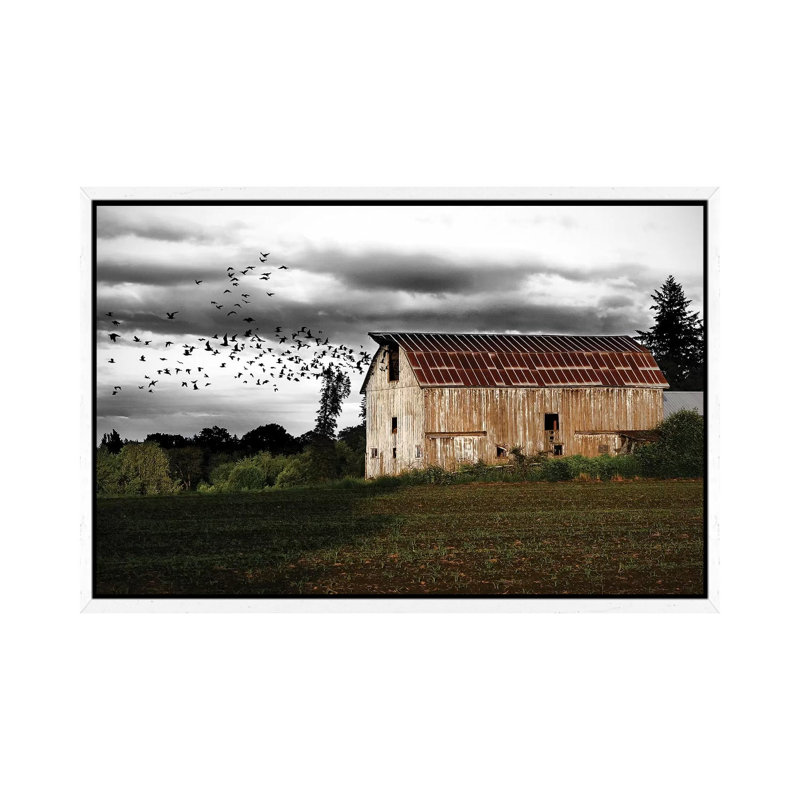 Birds Barn - Print on Canvas, 66.04 cm H x 45.72 cm W, White Framed