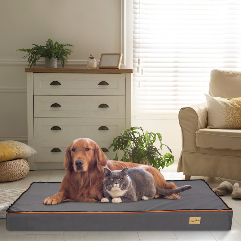 Wakefield Orthopedic Polyester Pet Bed, 12cm H x 135cm W x 100cm D
