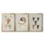 Coquilles antiques sur toile de lin VI - Toile tendue avec châssis sur mesure - 3 pièces-388131484-388131485