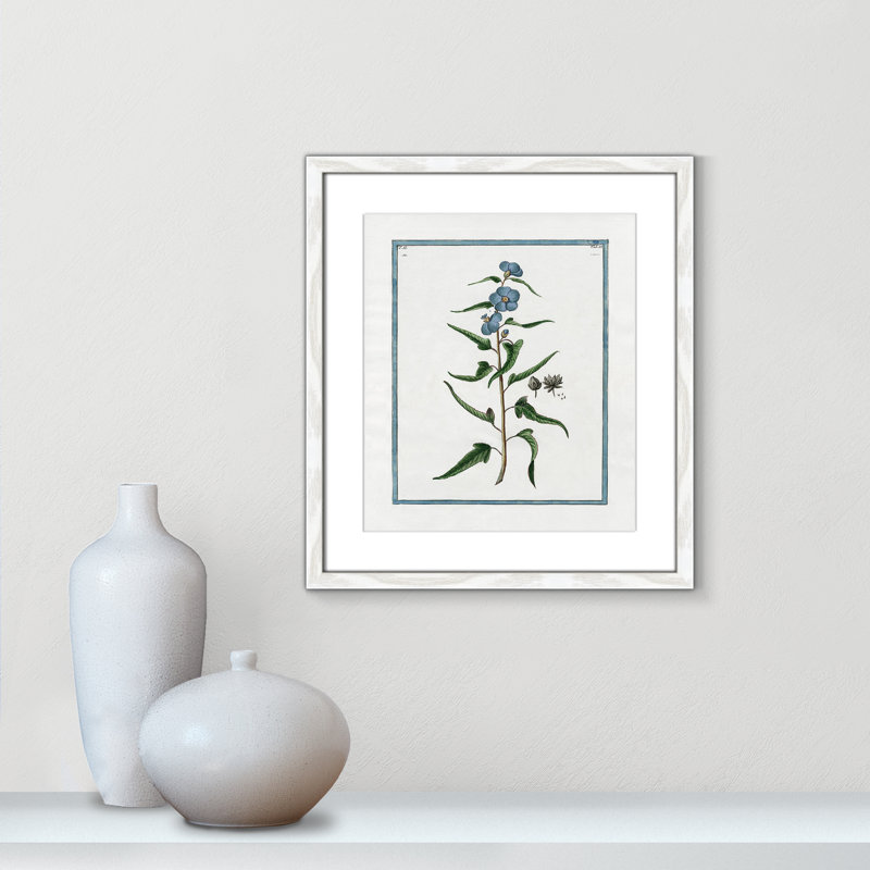 Colombe Shabby Elegance Botanical I - Art encadré avec fond perdu, L 13 po x H 15 po, Cadre blanc