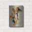 "Basenji" par Barbara Keith-1767971311