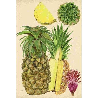 Étude d'ananas tropicaux I
