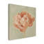 « spring pivoine i », peinture sur toile tendue-771026666
