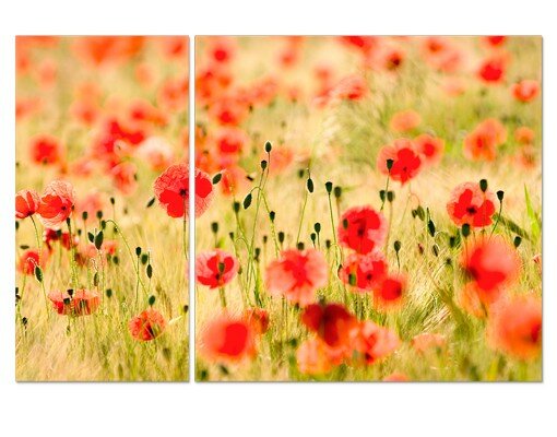 2-tlg. Leinwandbilder-Set Summer Poppies