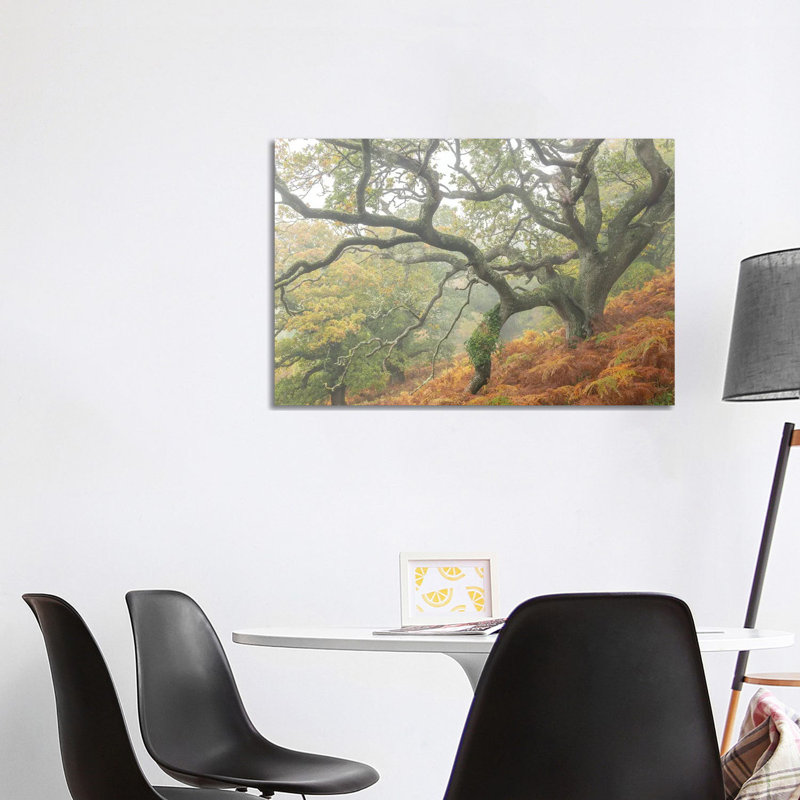 The Magic Faraway Tree by Adam Burton - Wrapped Canvas Print, 101.6 cm H x 66.04 cm W x 3.175 cm D