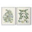 Impression encadrée Buchoz Tropicals VI-Premium - prête à être accrochée - aucun clou requis - aucun clou requis-2024996167-2024996174