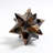 Stellated Dodecahedron-White Bone-43674109