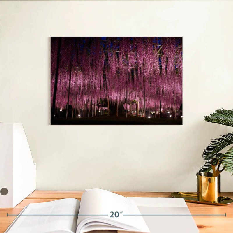 Jardin Harnek Wisteria, H 8 po x l 12 po