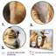 Décoration murale Camel Desert Nomad I - Animaux-1598441098-1598441107