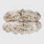 Enderby Sheepskin Area Rug in Wolf Tip-24151598